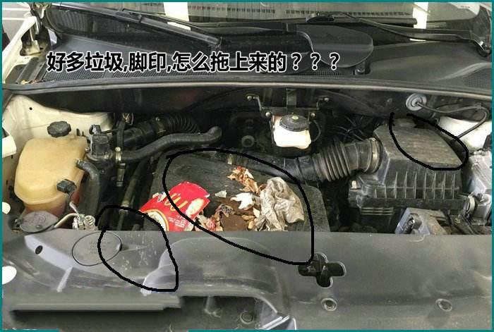 汽车发动机防老鼠妙招，保护爱车免受侵害