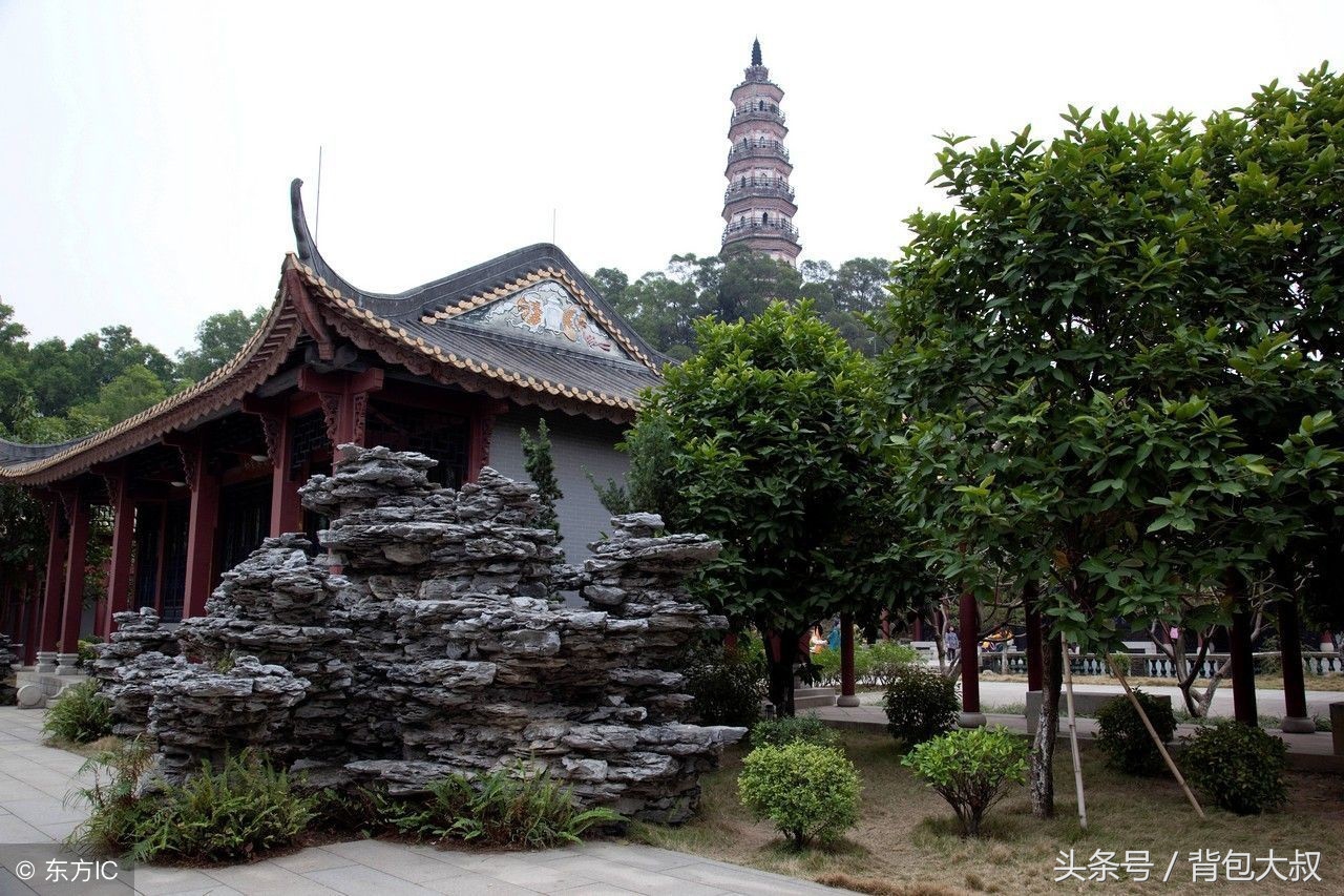 吃在广东厨出顺德旅行到了这里是吃货福气大叔体验十大名菜的分享