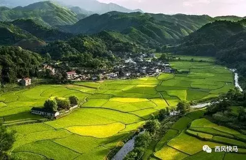 麻阳最早考上清华大学，国家创造发明一等奖获得者——雷兴翰博士