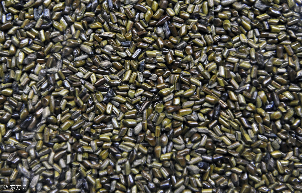 【别名】假绿豆,细叶猪屎豆,马蹄决明,还瞳子,夜拉子.