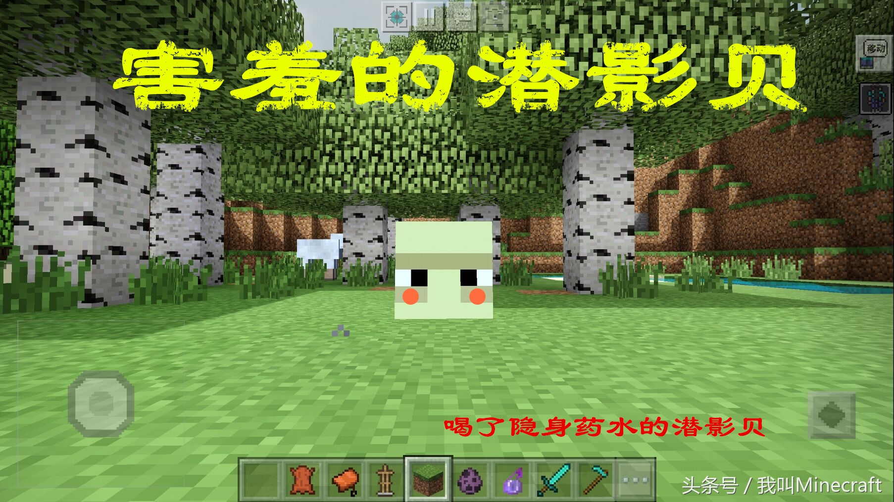 我的世界：“隐身药水”超冷的7个趣味知识，你在MC见过鬼火么？