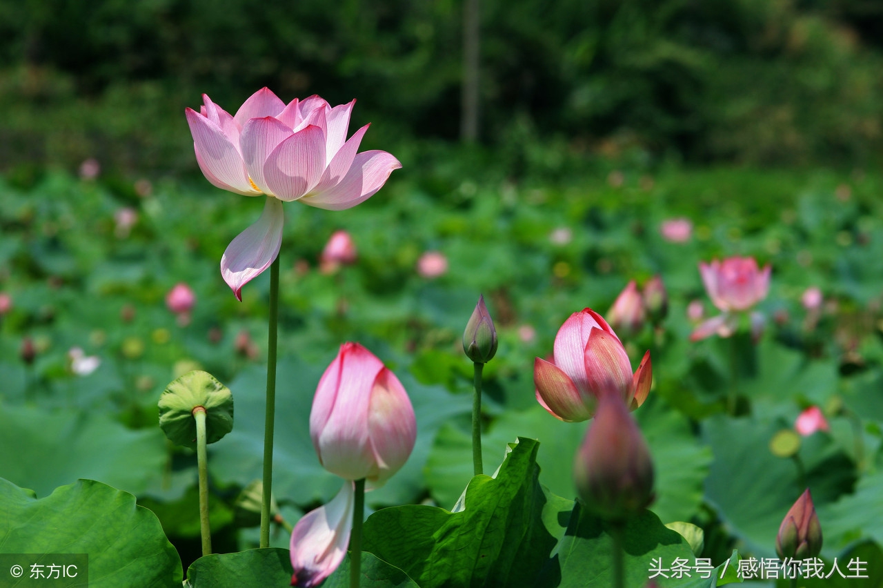 祸从口出，言多必失（句句在理）