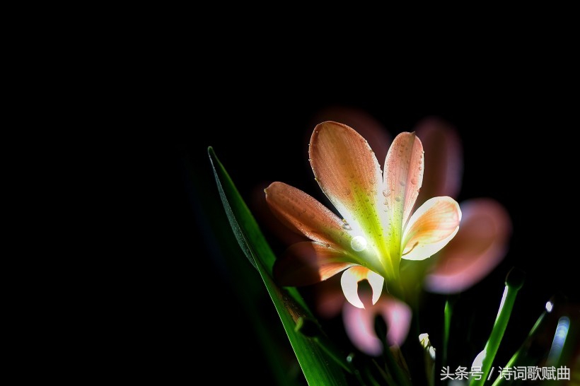 在外漂泊时间久了，都会思念家乡，这几首思乡的诗满满的乡愁