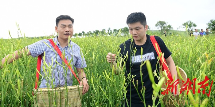 請問樊振東是哪里人（中國男乒“樊勞模”-訪祁東籍中國男乒運動員、世界冠軍樊振東）