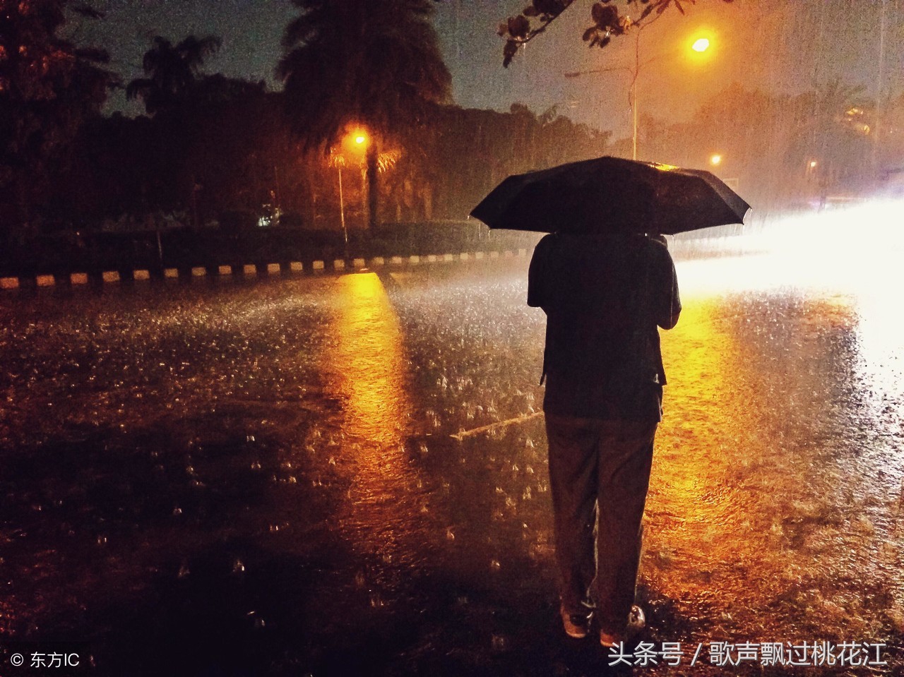 原创诗歌：《雨》