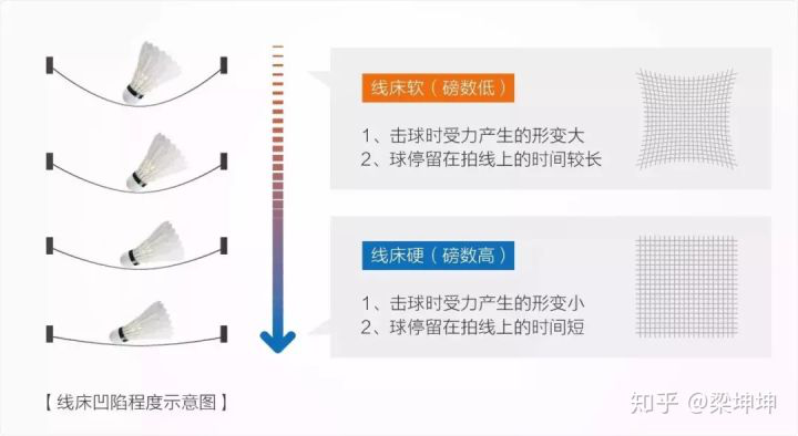 羽毛球线磅数如何选择(羽毛球拍磅数越高，实力越强？磅数选择有技巧)