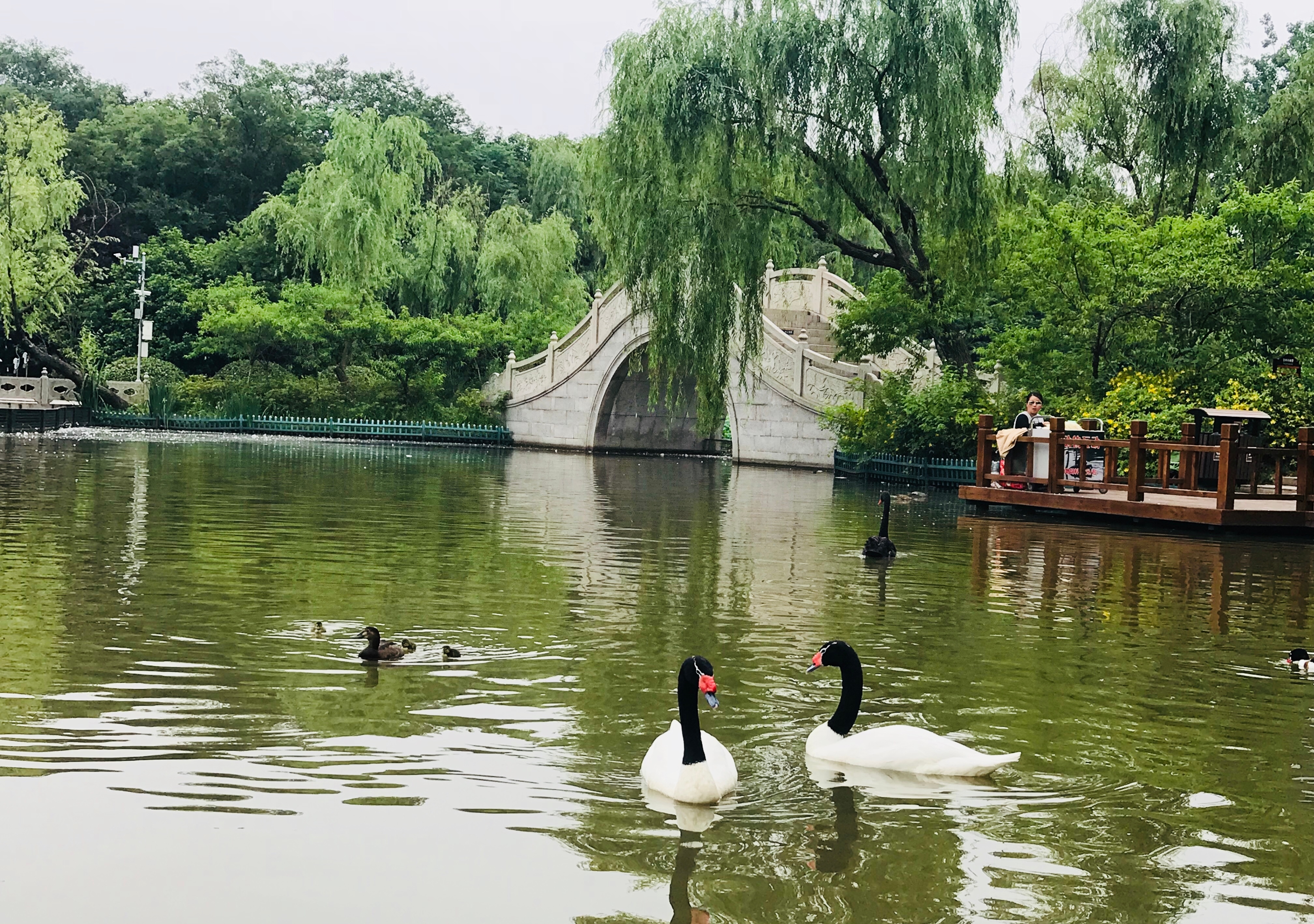 茱萸湾在江都什么地方（茱萸湾位于扬州城区东北郊湾头镇）