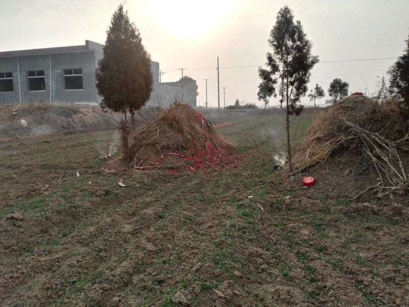 下葬后多久下雨是好的（葬到风水宝地的预兆）-第17张图片-昕阳网