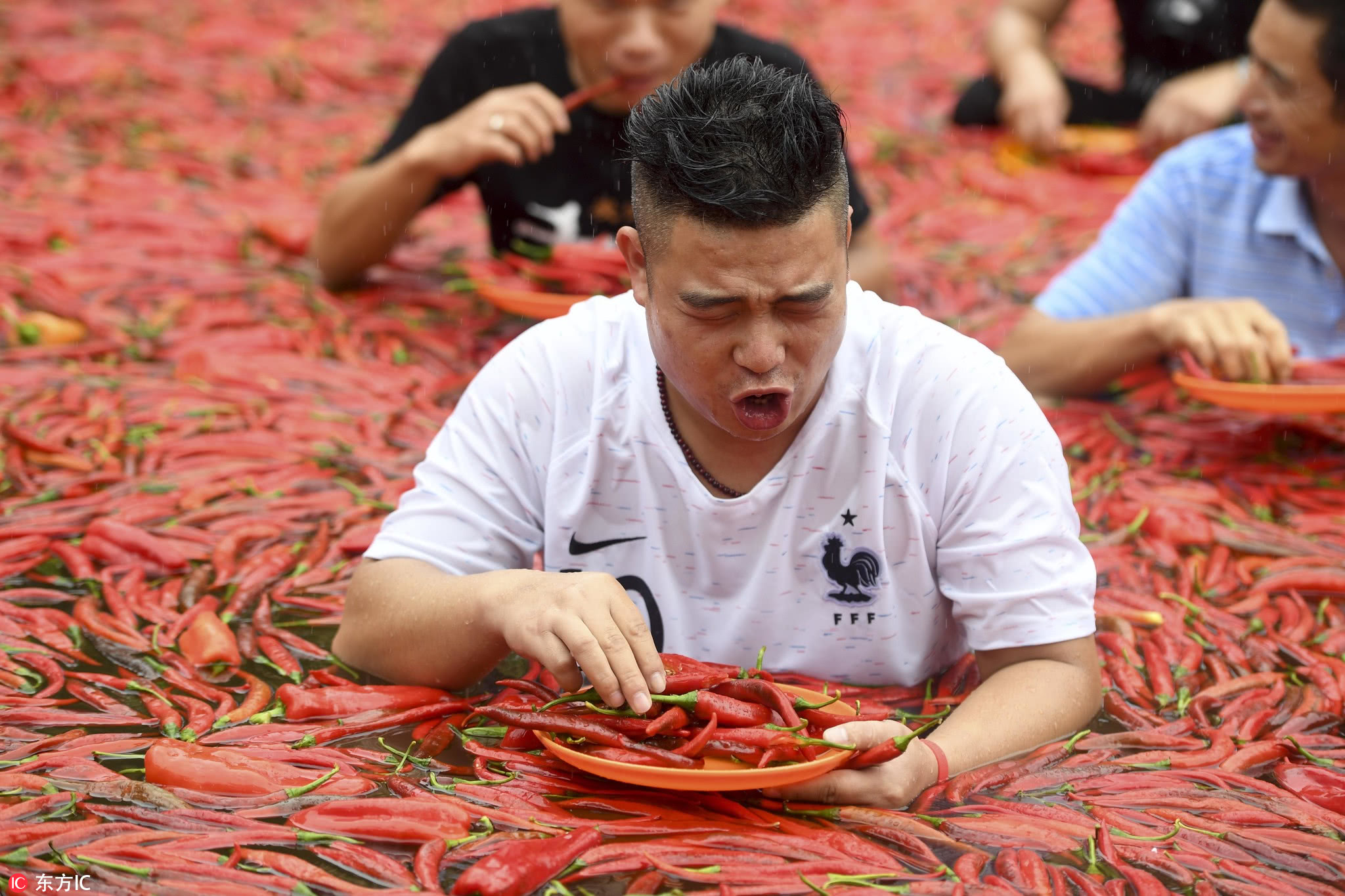 辣椒油樹脂,辣椒油樹脂是什么東西