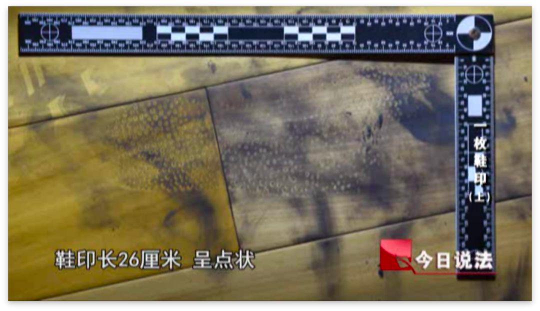 别墅盗窃案现场的一枚鞋印牵出盗窃团伙 警方抓捕嫌疑人12名