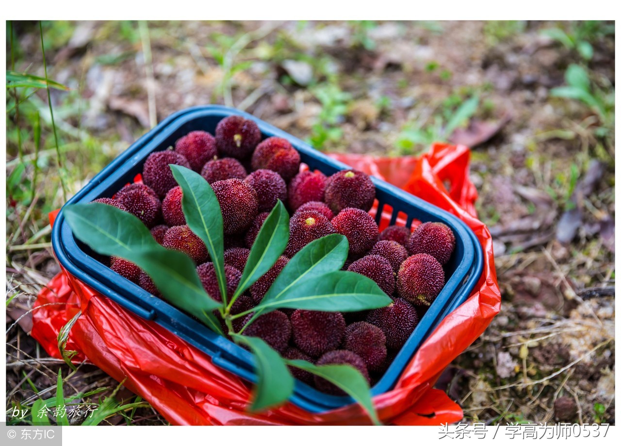 小明和小刚踢足球一段话(2018暑假小学看图写话：花盆踢碎了 让写话不再犯难)