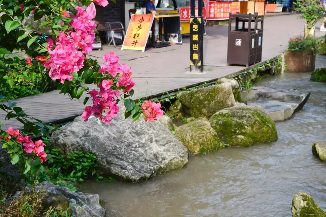 川西竹海一日游攻略（川西竹海的门票）