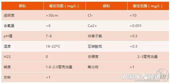 鲟鱼养殖是什么（养殖鲟鱼好吃吗）-第2张图片-易算准