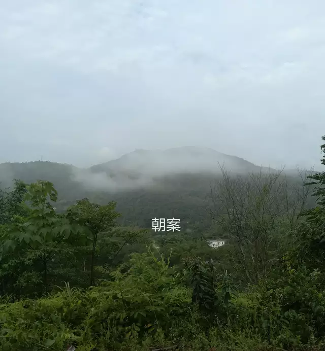 记一座风水宝地安金过程一一风水宝地安先祖，丁财两旺报后人