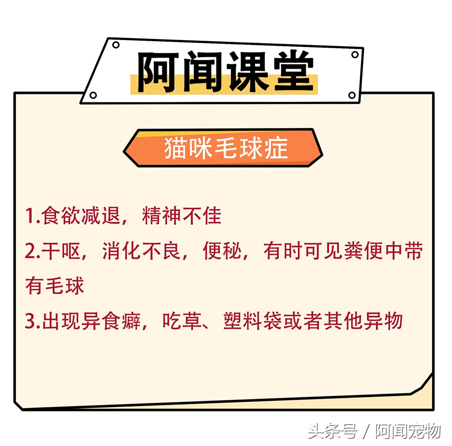 猫踢世界杯足球(喵星人和铲屎官熬夜看球后呕吐，难道这届世界杯真的有毒？)