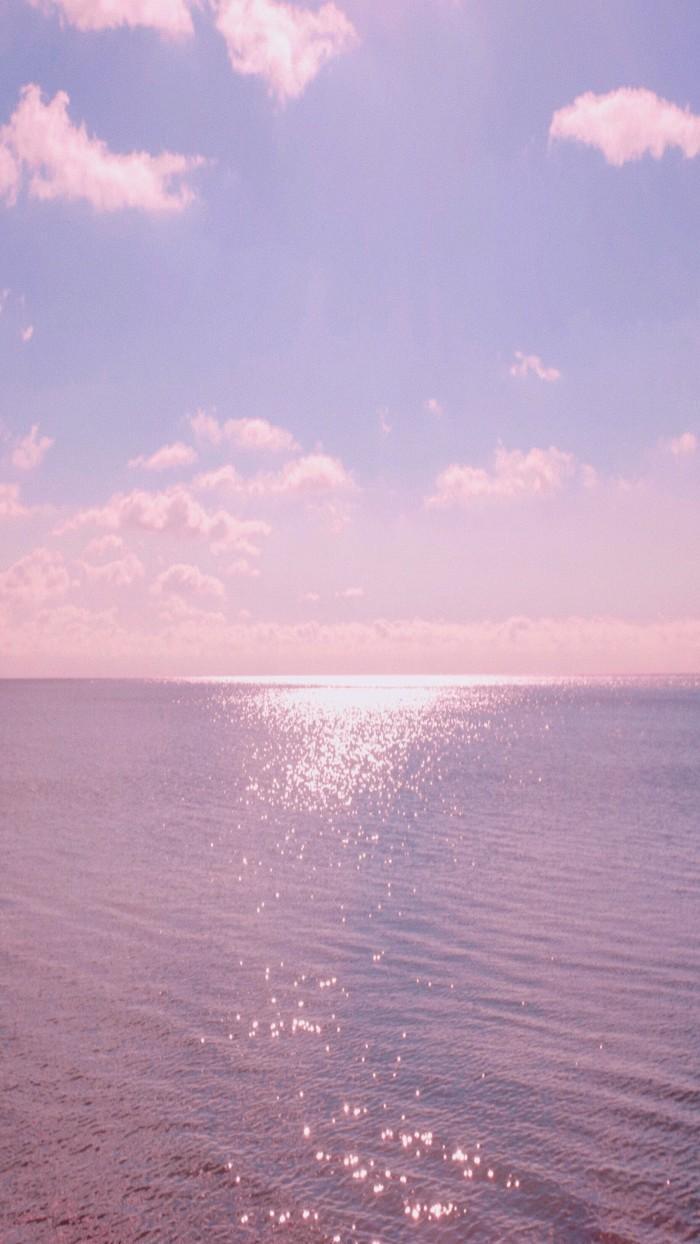 十二星座专属ins风格壁纸,狮子座是超美火烈鸟,水瓶座热带风情