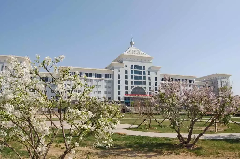 定了！河北28个省级职教集团名单公布，这些院校牵头