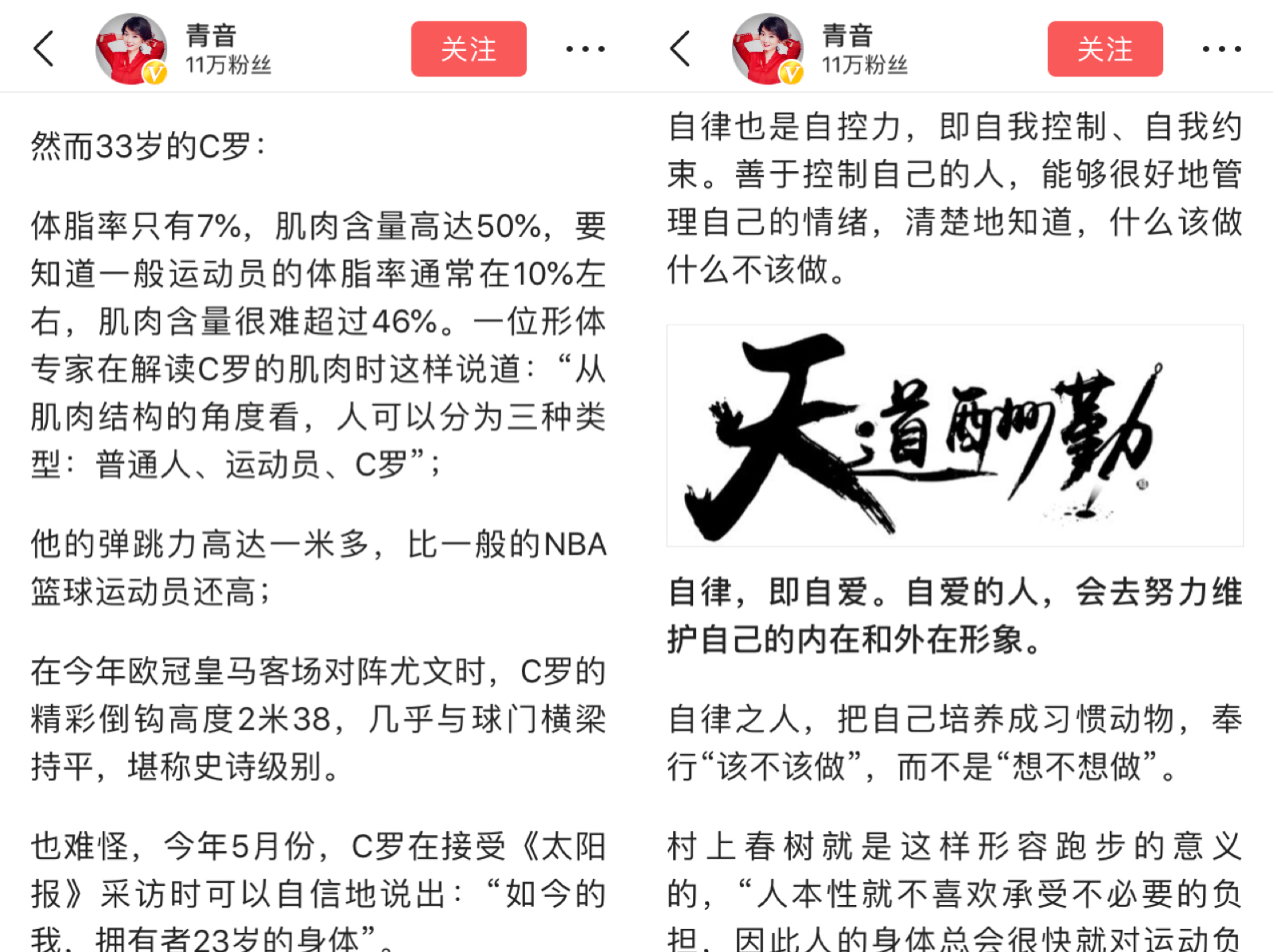 为什么世界杯我看不懂(究极侃球指南：看了这些好文章，再也没有人敢说你不懂世界杯)