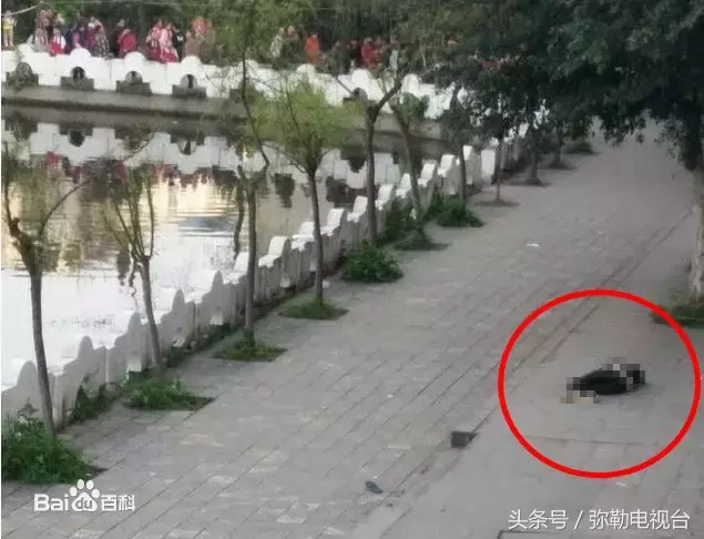 “四中学生打死人了!”弥勒疯传!真的吗?