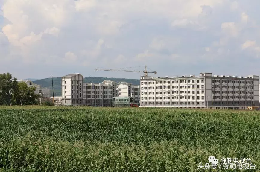 “四中学生打死人了!”弥勒疯传!真的吗?