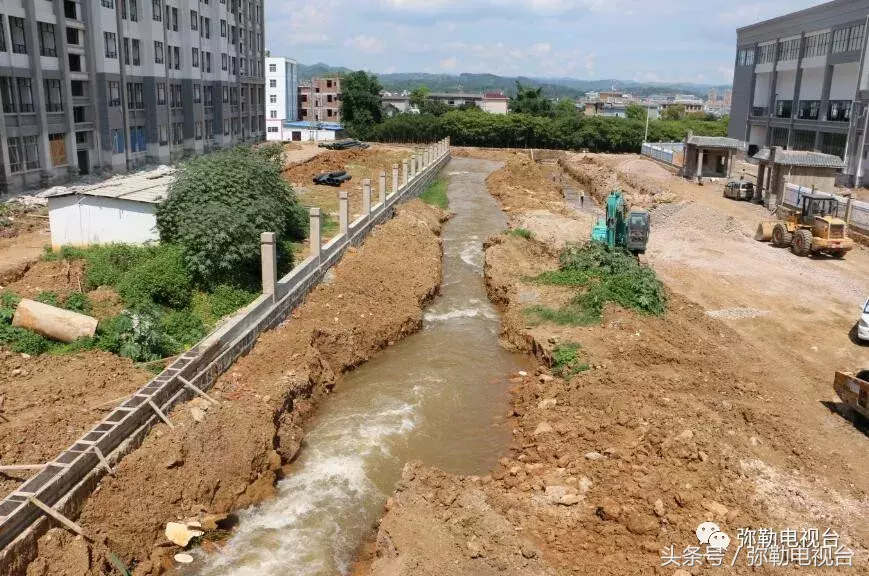 “四中学生打死人了!”弥勒疯传!真的吗?