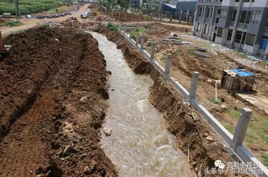 “四中学生打死人了!”弥勒疯传!真的吗?