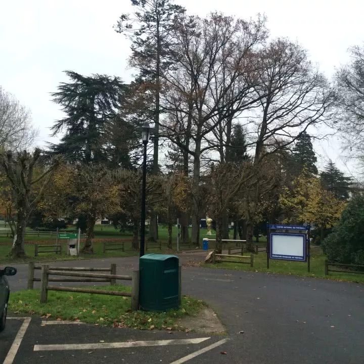 世界杯法国为什么会夺冠（法国为什么能夺得世界杯冠军？答案都在这里了！）