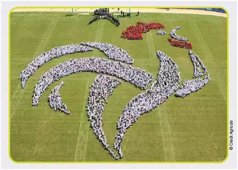 世界杯法国为什么会夺冠（法国为什么能夺得世界杯冠军？答案都在这里了！）