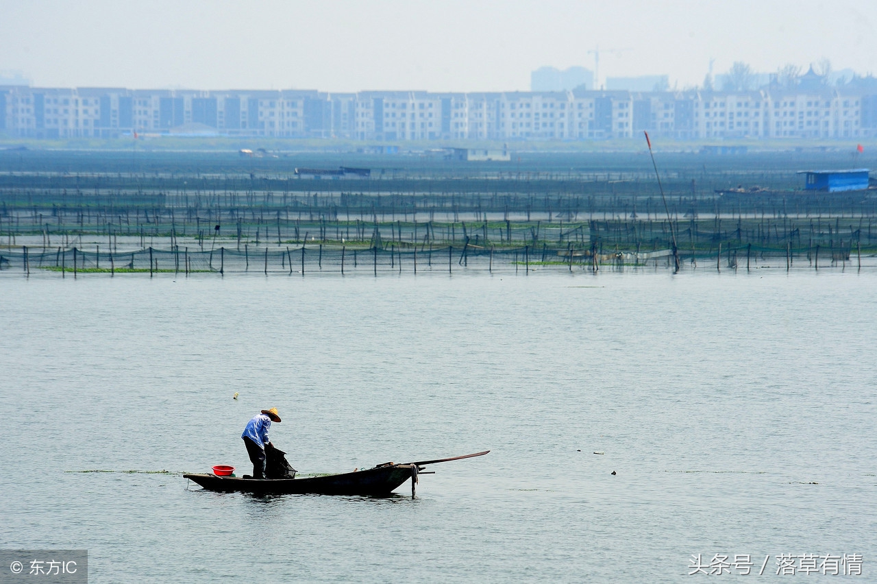 孟浩然《临洞庭上张丞相》：欲济无舟楫