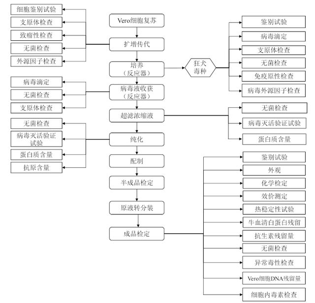 长生生物疫苗,长生生物疫苗事件