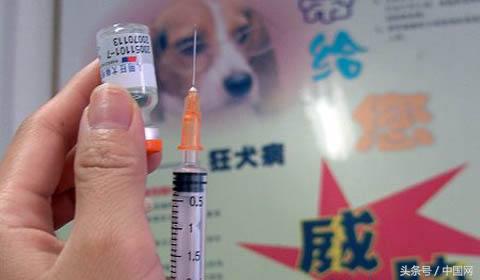 狂犬病疫苗造假，何止“良心去哪儿了”？