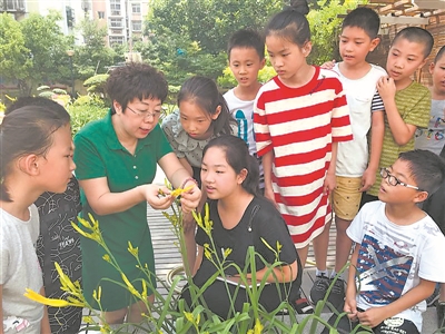 教育教学：小学低年级科学课怎样上更“科学”？