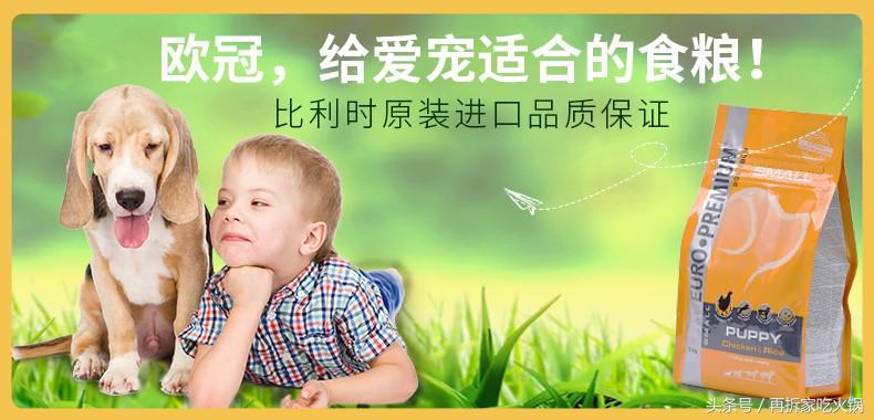 歐冠狗糧和冠能狗糧哪個好嗎（好狗糧怎么選擇？如何科學定義優質狗糧的標準！）