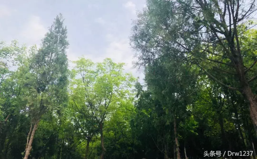 梭镖怎么读：揭秘三个字都是成语的神奇词汇