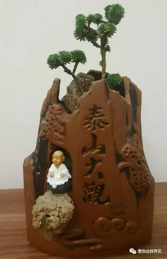 扔掉的废酒瓶,花友改成绝世花盆,别人出1000块都不卖!