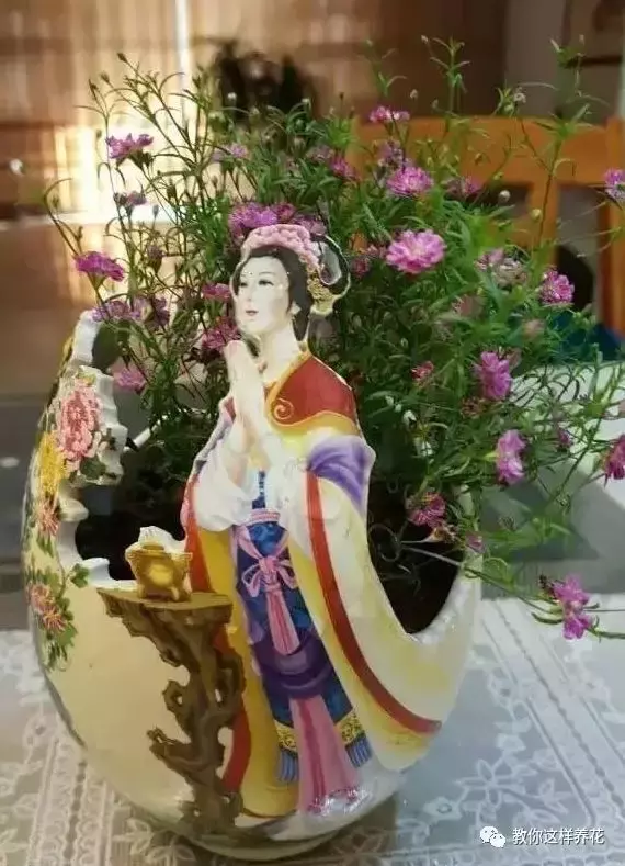 扔掉的废酒瓶,花友改成绝世花盆,别人出1000块都不卖!