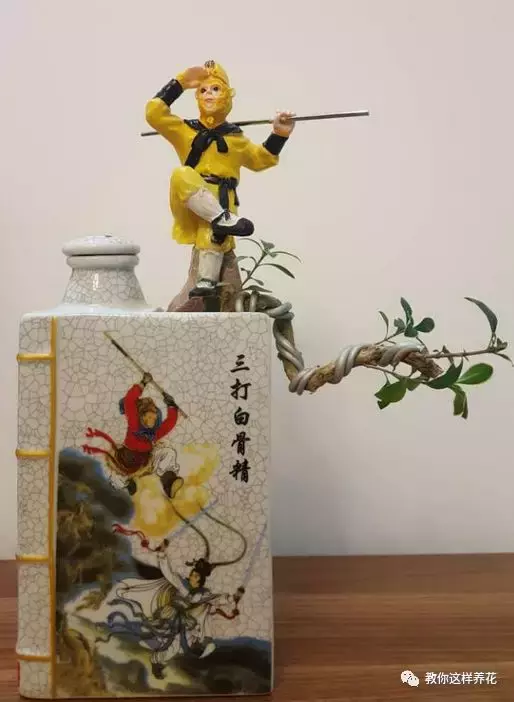 扔掉的废酒瓶,花友改成绝世花盆,别人出1000块都不卖!