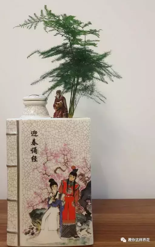 扔掉的废酒瓶,花友改成绝世花盆,别人出1000块都不卖!