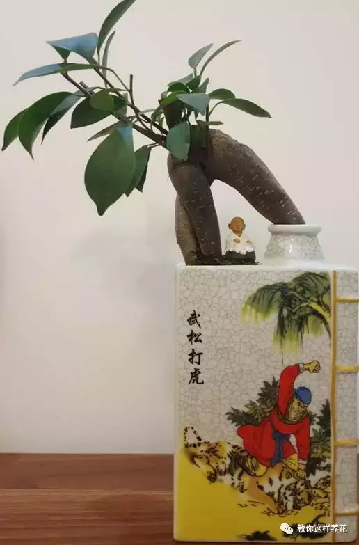 扔掉的废酒瓶,花友改成绝世花盆,别人出1000块都不卖!