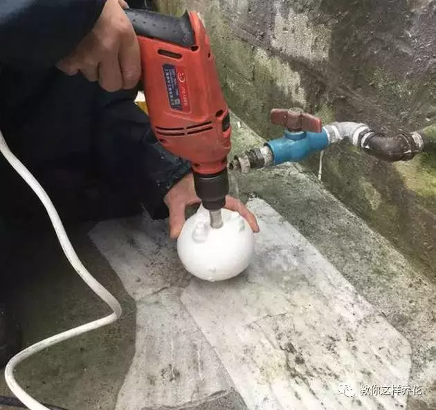 扔掉的废酒瓶,花友改成绝世花盆,别人出1000块都不卖!