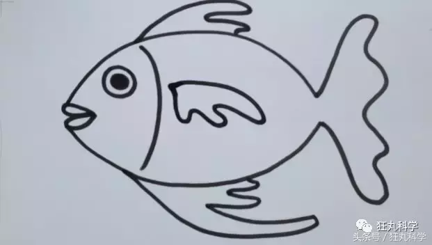 有史以来最简单的一次教程：卡通鱼简笔画