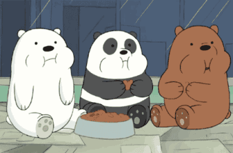 驾驶证记满12分怎么办？