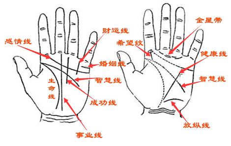 那么有钱女人手相图解大全是怎么样的呢?