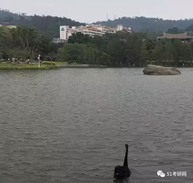 内部消息！如果你报考这13所学校，请你一定看看来自本校生的评价