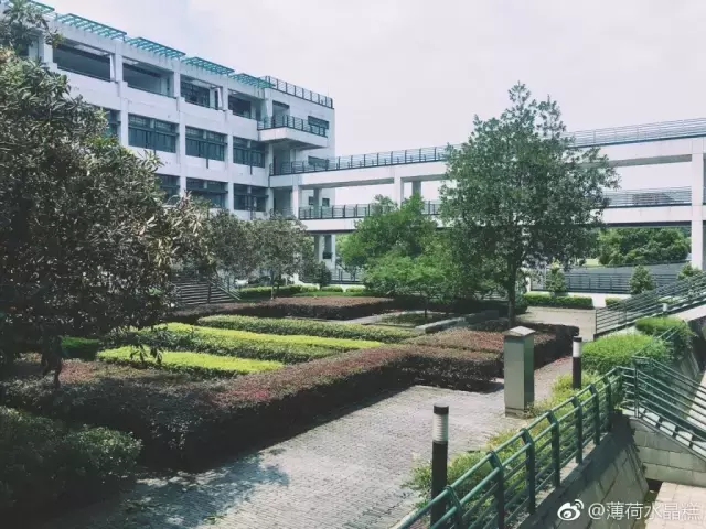 内部消息！如果你报考这13所学校，请你一定看看来自本校生的评价
