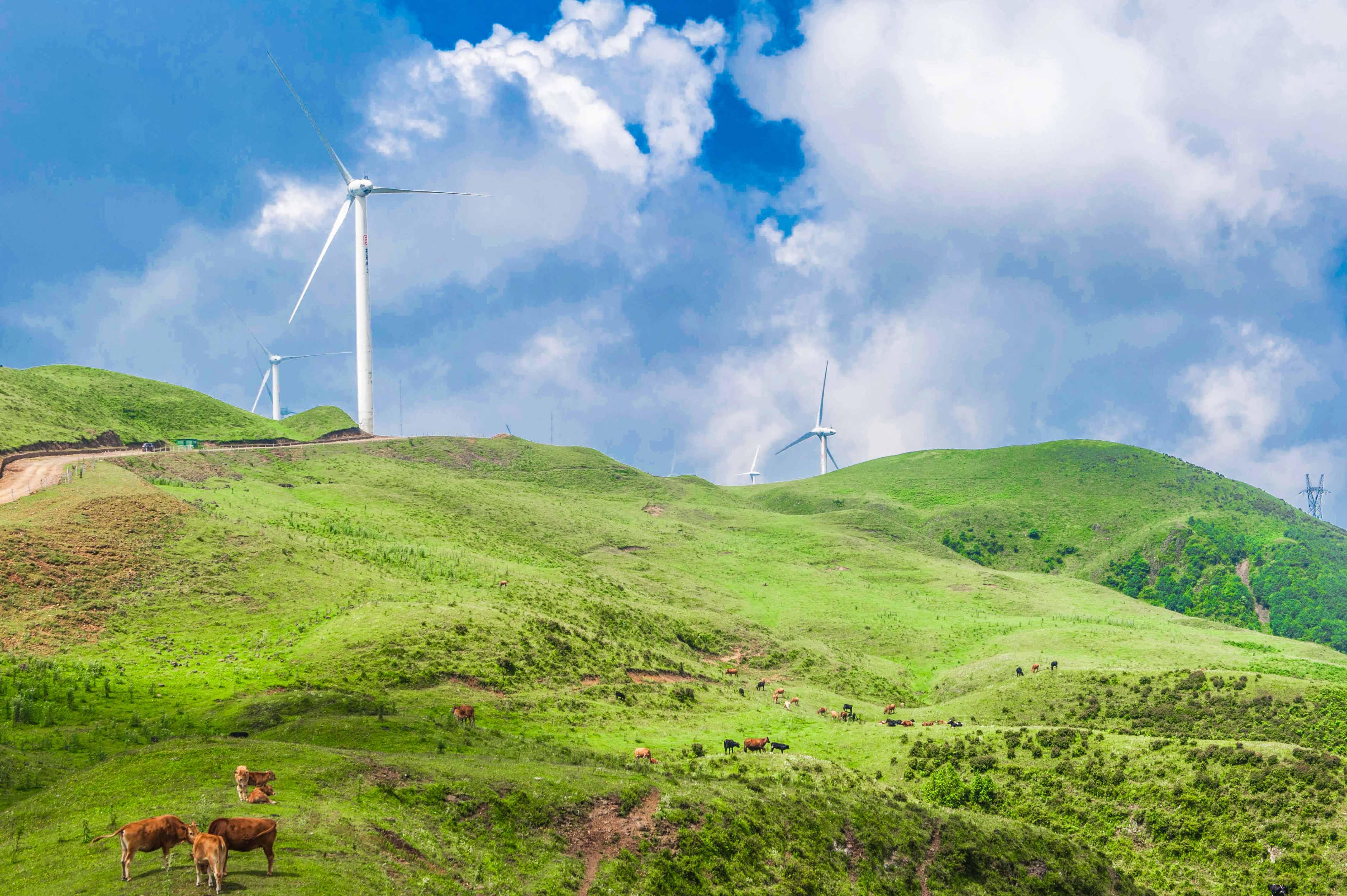 乌蒙草原上也有各色的娱乐项目,滑草是乌蒙的特色之一,坐着简易但又不