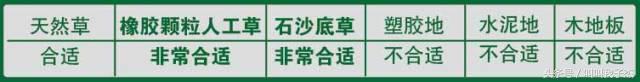 足球鞋ag和tf什么意思（如何根据场地选择足球鞋）