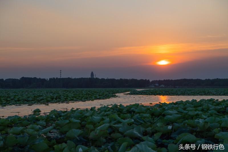 兴尽晚回舟，误入藕花深处——微山湖上有人家