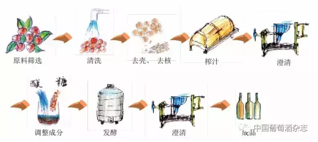 缤纷绽放的独特果酒