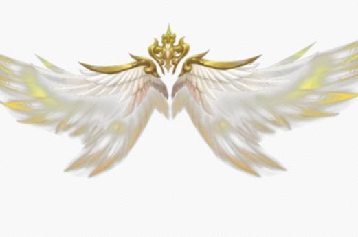 十二星座隐藏的灵异翅膀,射手座刀锋凌冽,双鱼座唯美雨蝶!